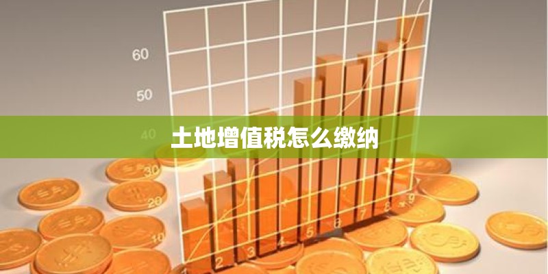 土地增值税怎么缴纳 土地增值税怎么缴纳