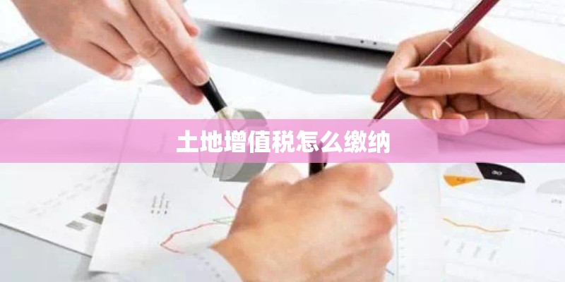 土地增值税怎么缴纳 土地增值税怎么缴纳