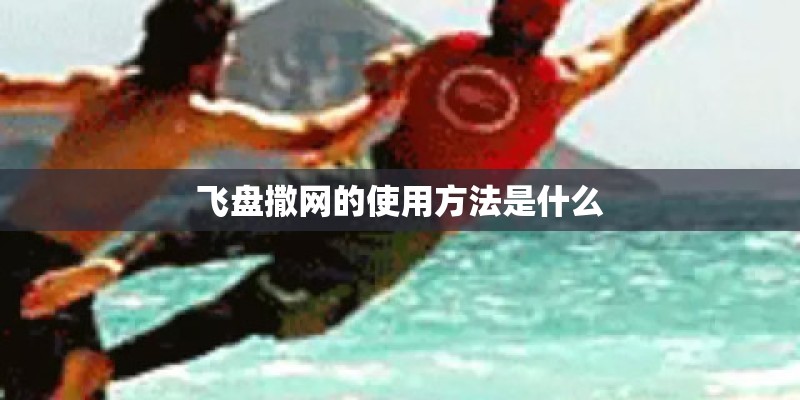 飞盘撒网的使用方法是什么
