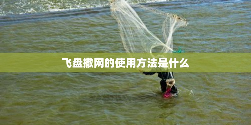 飞盘撒网的使用方法是什么