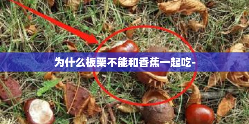 为什么板栗不能和香蕉一起吃-
