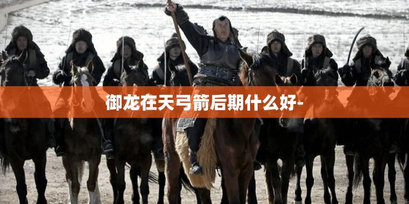 御龙在天弓箭后期什么好-