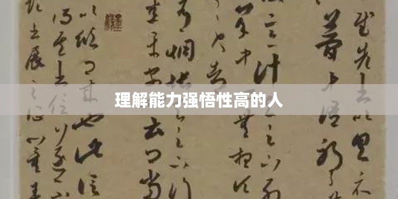 理解能力强悟性高的人