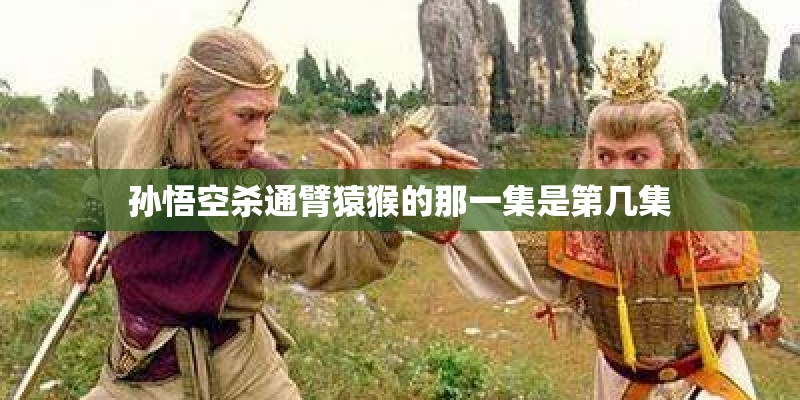 孙悟空杀通臂猿猴的那一集是第几集