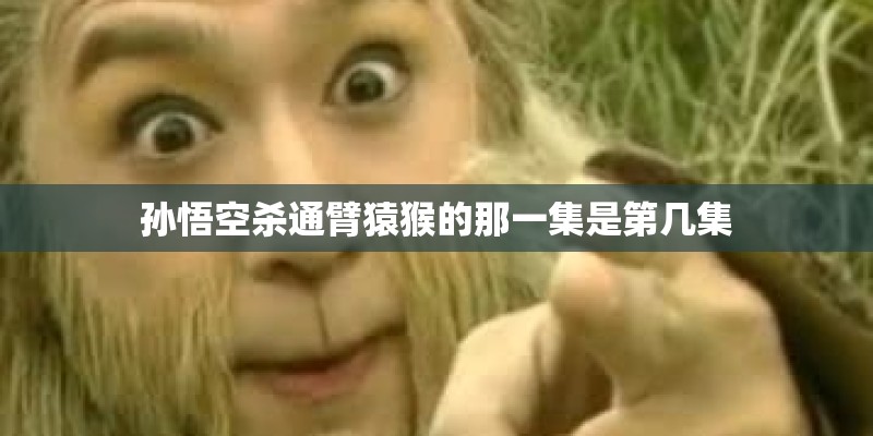 孙悟空杀通臂猿猴的那一集是第几集