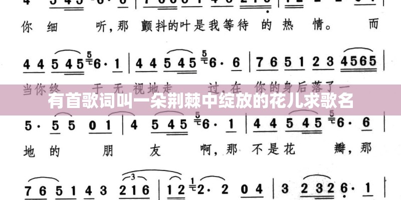 有首歌词叫一朵荆棘中绽放的花儿求歌名