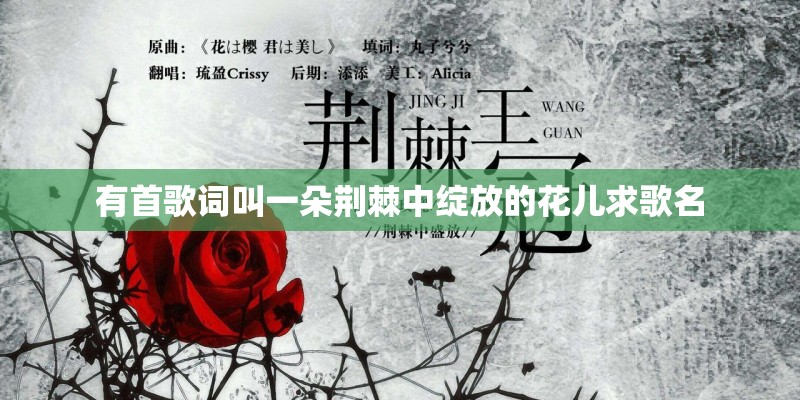 有首歌词叫一朵荆棘中绽放的花儿求歌名