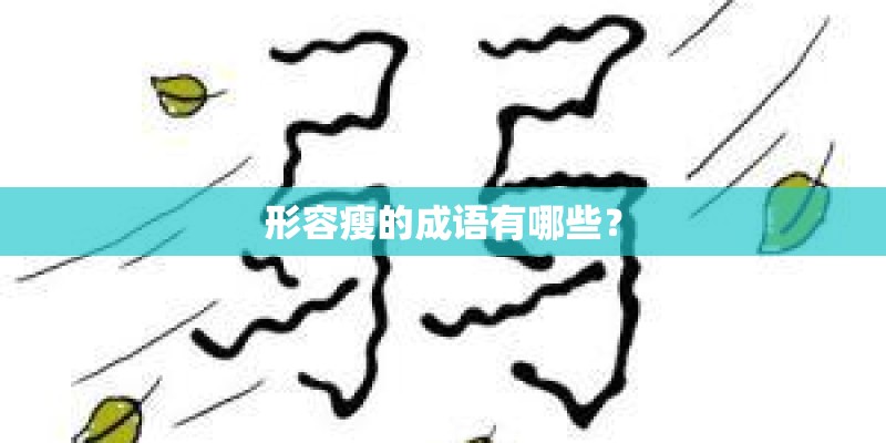 形容瘦的成语有哪些？