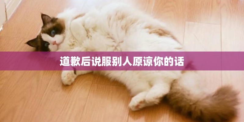 道歉后说服别人原谅你的话 道歉后说服别人原谅你的话