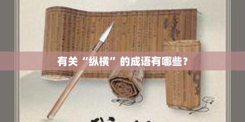 有关“纵横”的成语有哪些? 有关“纵横”的成语有哪些?