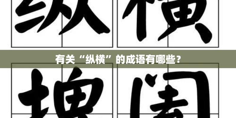 有关“纵横”的成语有哪些? 有关“纵横”的成语有哪些?