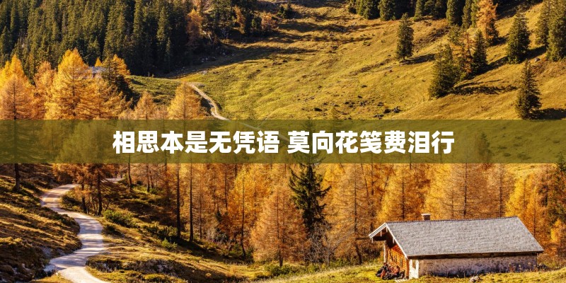 相思本是无凭语 莫向花笺费泪行 相思本是无凭语 莫向花笺费泪行