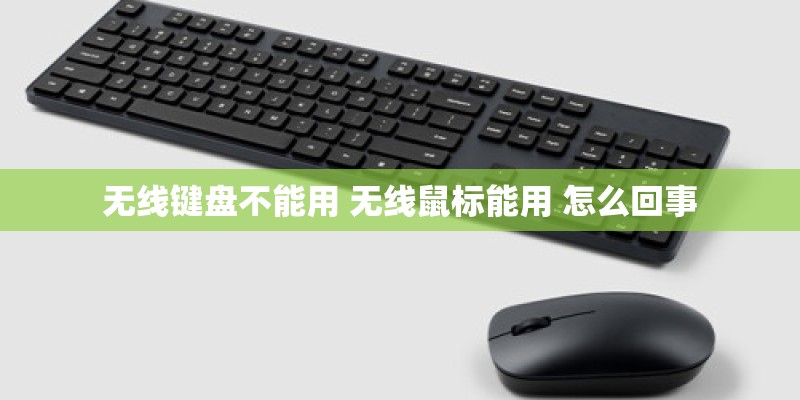 无线键盘不能用 无线鼠标能用 怎么回事