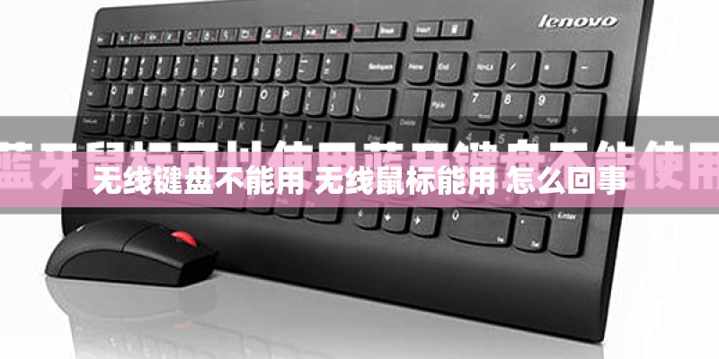 无线键盘不能用 无线鼠标能用 怎么回事