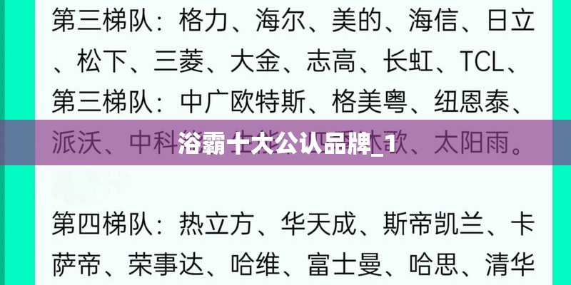 浴霸十大公认品牌_1