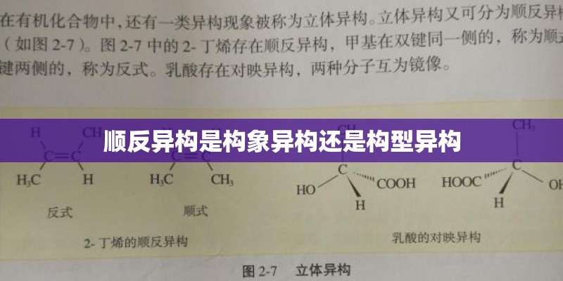 顺反异构是构象异构还是构型异构