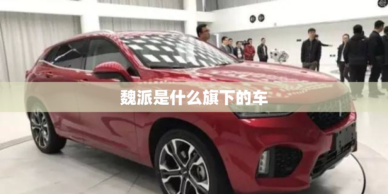 魏派是什么旗下的车