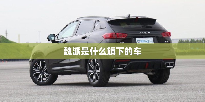 魏派是什么旗下的车