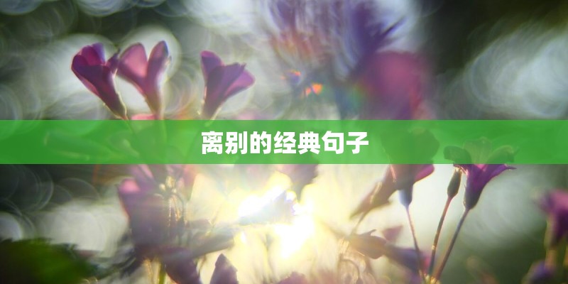 离别的经典句子