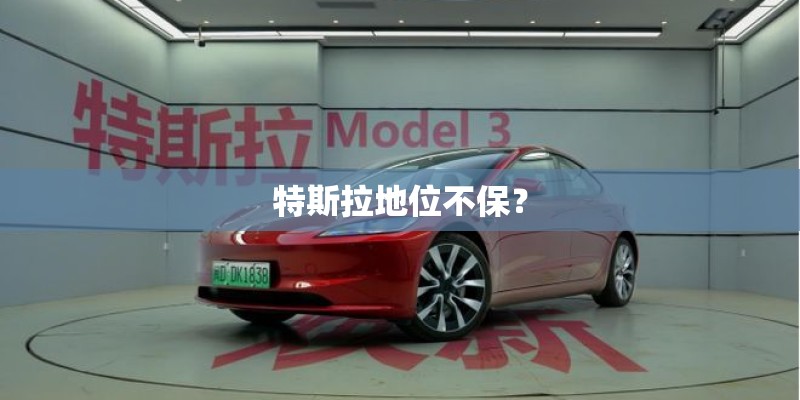特斯拉地位不保? 特斯拉地位不保?