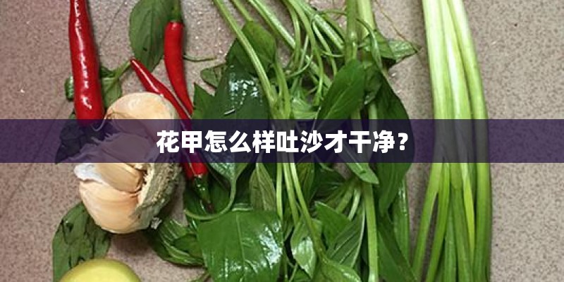 花甲怎么样吐沙才干净？
