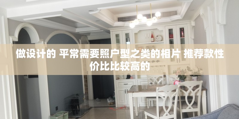 做设计的 平常需要照户型之类的相片 推荐款性价比比较高的