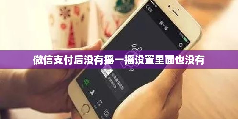微信支付后没有摇一摇设置里面也没有