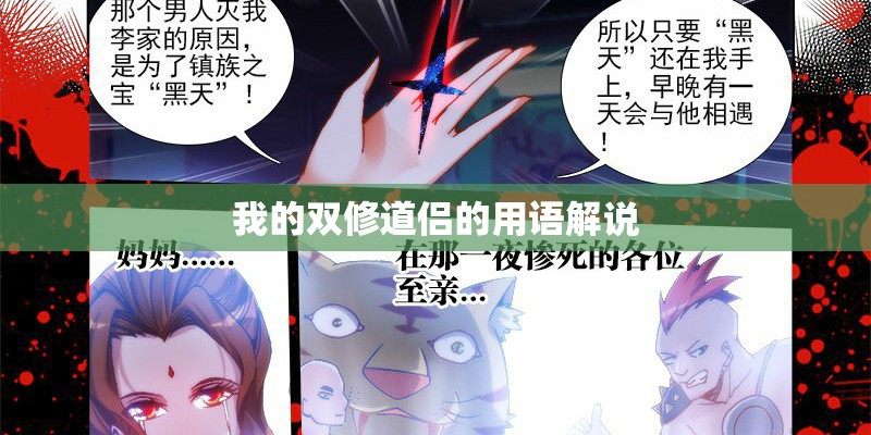 我的双修道侣的用语解说