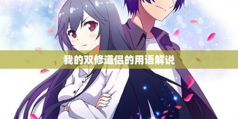 我的双修道侣的用语解说