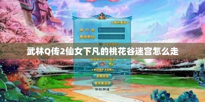 武林Q传2仙女下凡的桃花谷迷宫怎么走