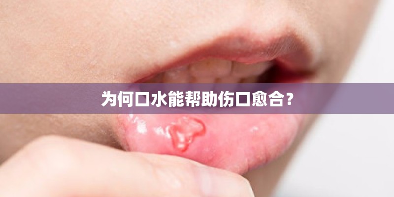 为何口水能帮助伤口愈合？