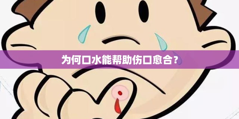 为何口水能帮助伤口愈合？