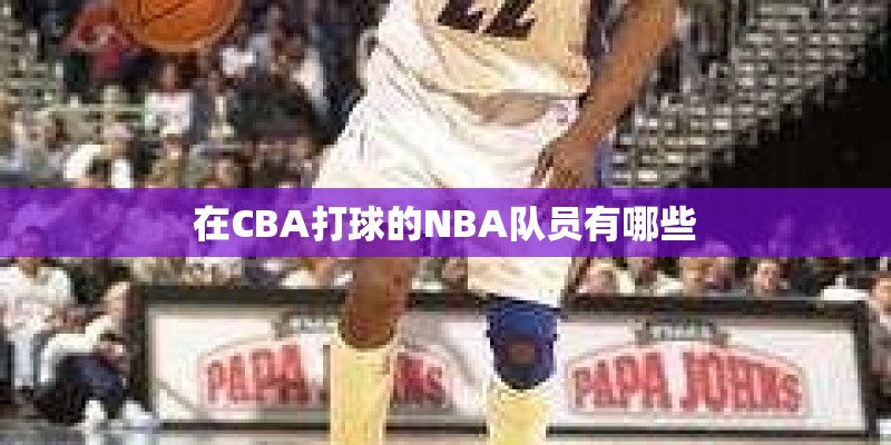 在CBA打球的NBA队员有哪些