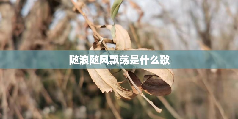 随浪随风飘荡是什么歌