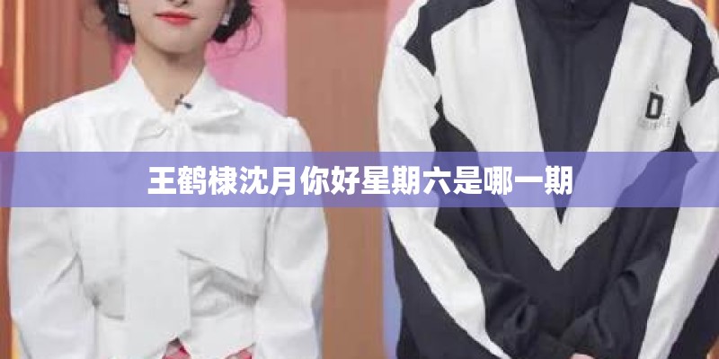 王鹤棣沈月你好星期六是哪一期