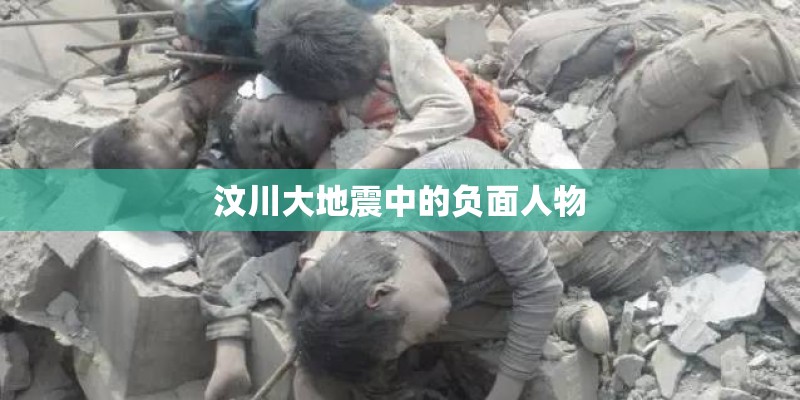 汶川大地震中的负面人物