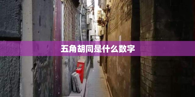 五角胡同是什么数字
