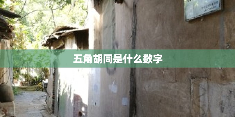 五角胡同是什么数字