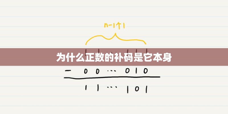 为什么正数的补码是它本身