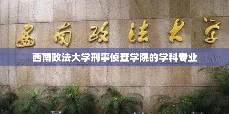 西南政法大学刑事侦查学院的学科专业