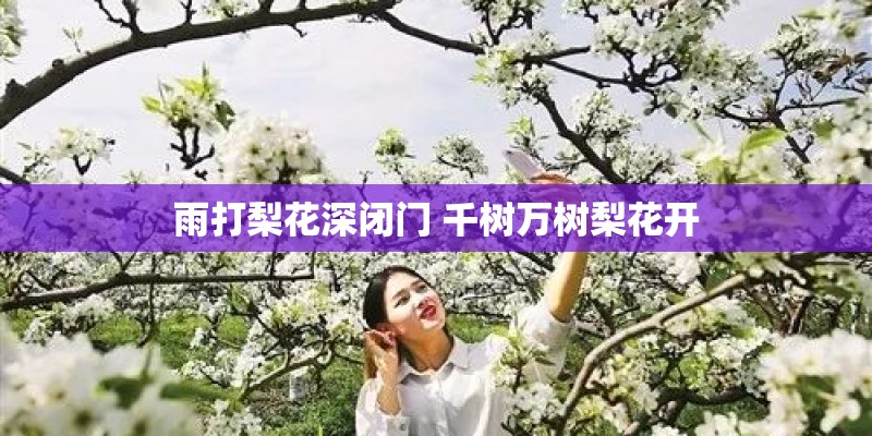 雨打梨花深闭门 千树万树梨花开