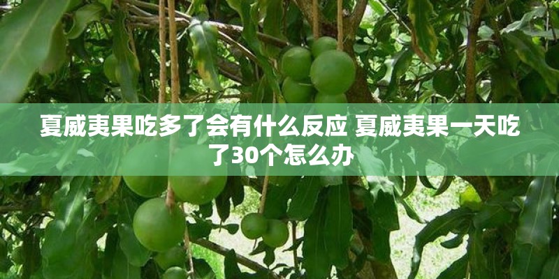 夏威夷果吃多了会有什么反应 夏威夷果一天吃了30个怎么办