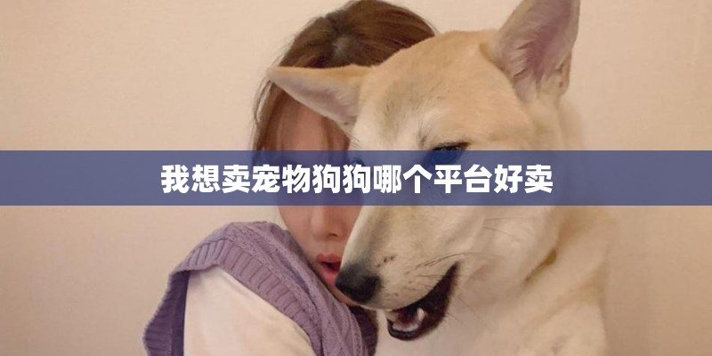 我想卖宠物狗狗哪个平台好卖
