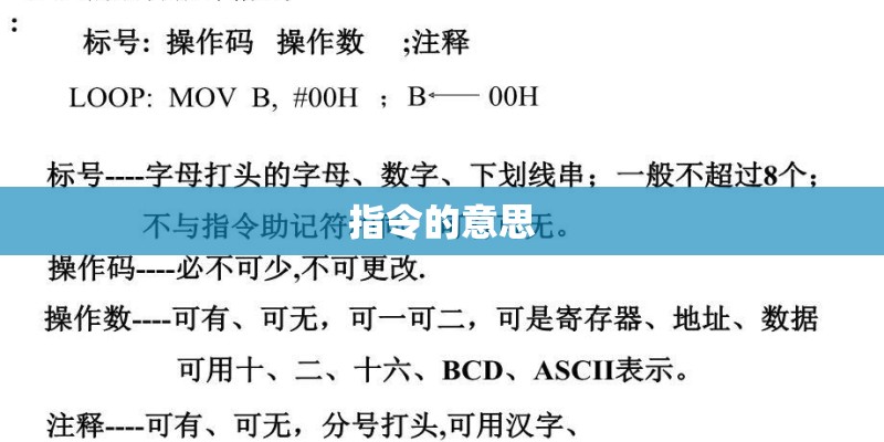 指令的意思