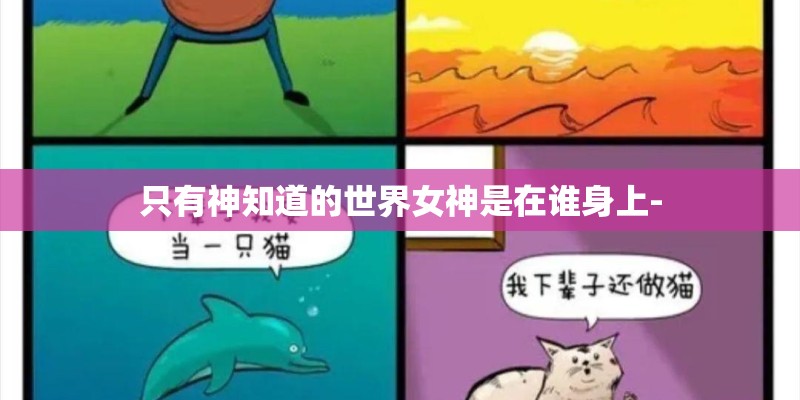 只有神知道的世界女神是在谁身上-