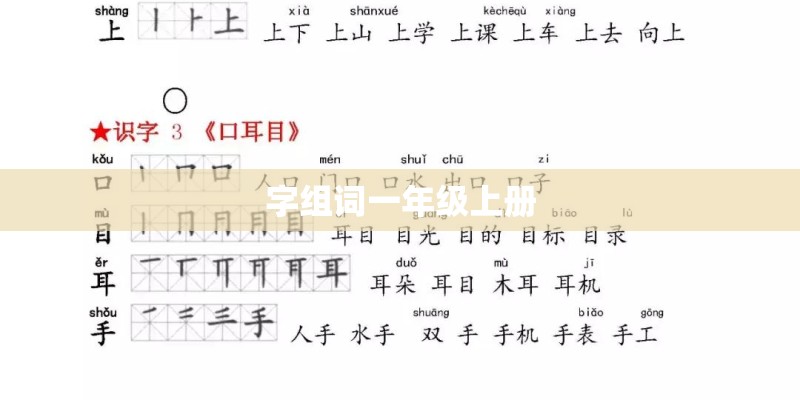 字组词一年级上册