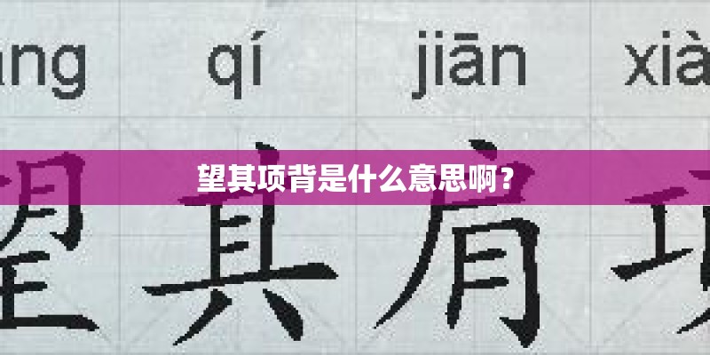 望其项背是什么意思啊？
