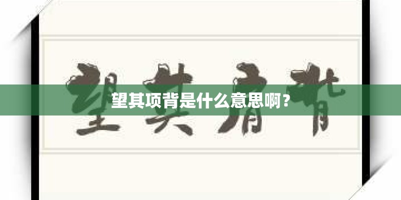 望其项背是什么意思啊？