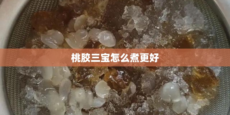 桃胶三宝怎么煮更好