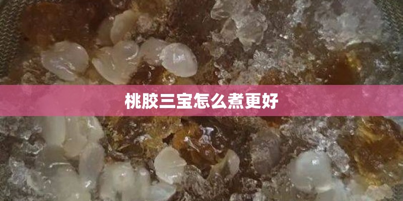 桃胶三宝怎么煮更好